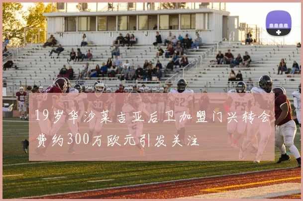 19岁华沙莱吉亚后卫加盟门兴转会费约300万欧元引发关注